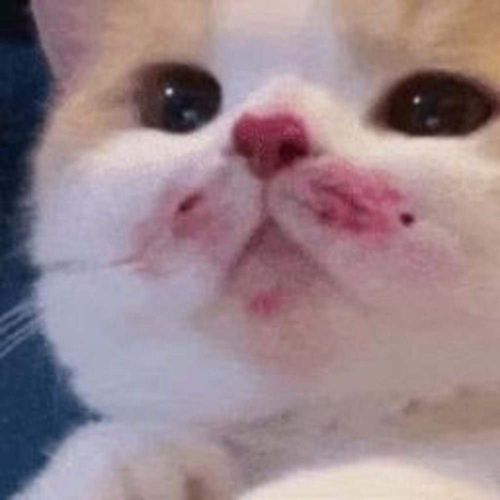 Meet your Posher, Arrqw